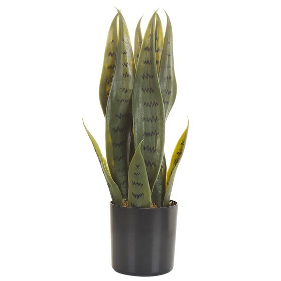 Konstgjord växt SNAKE PLANT 40 cm Grön