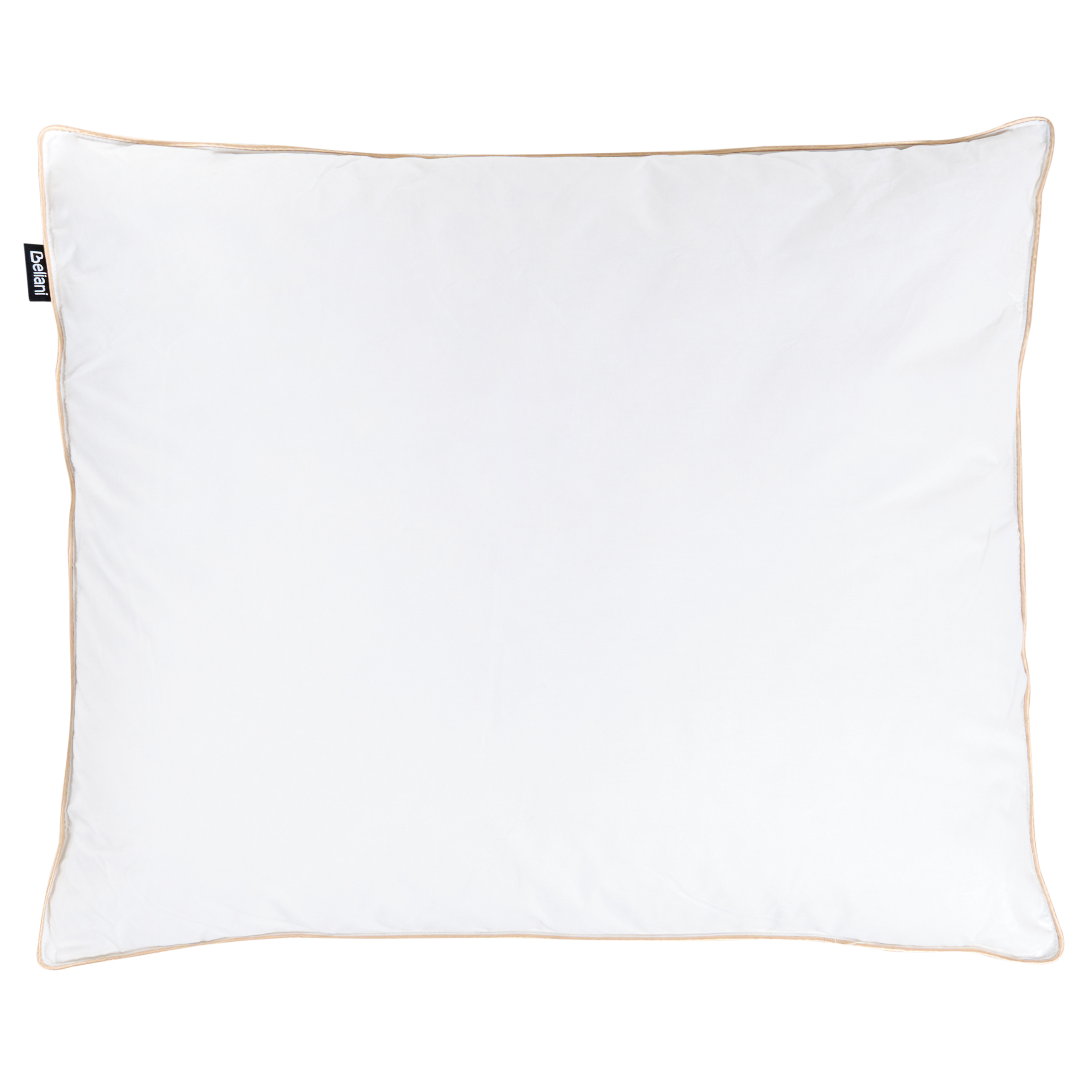 3-kammars kudde ETNA Hög 50 x 60 cm Ankfjädrar och dun Vit