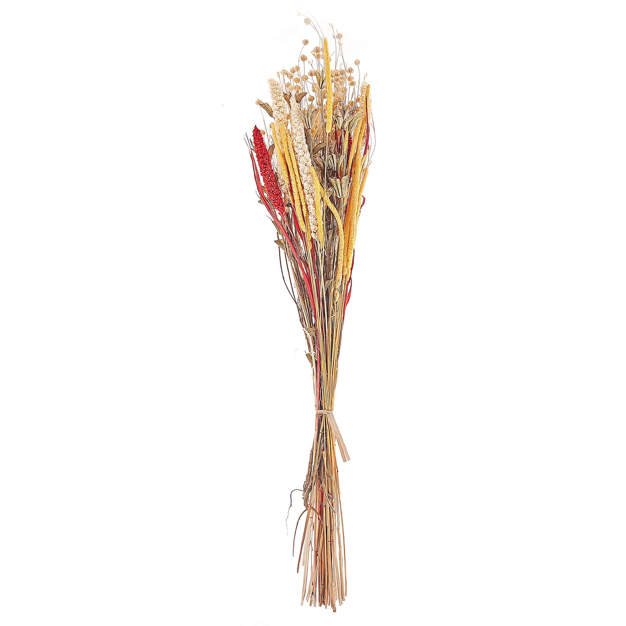 Torkad blombukett PAMPELUNA 65 cm Naturlig