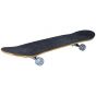Sandbar skateboard Monster 31X8"