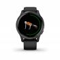 Garmin Venu®