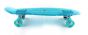 Sandbar Cruiser Transparent