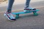 Sandbar Cruiser Transparent
