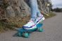 Sandbar Cruiser Transparent