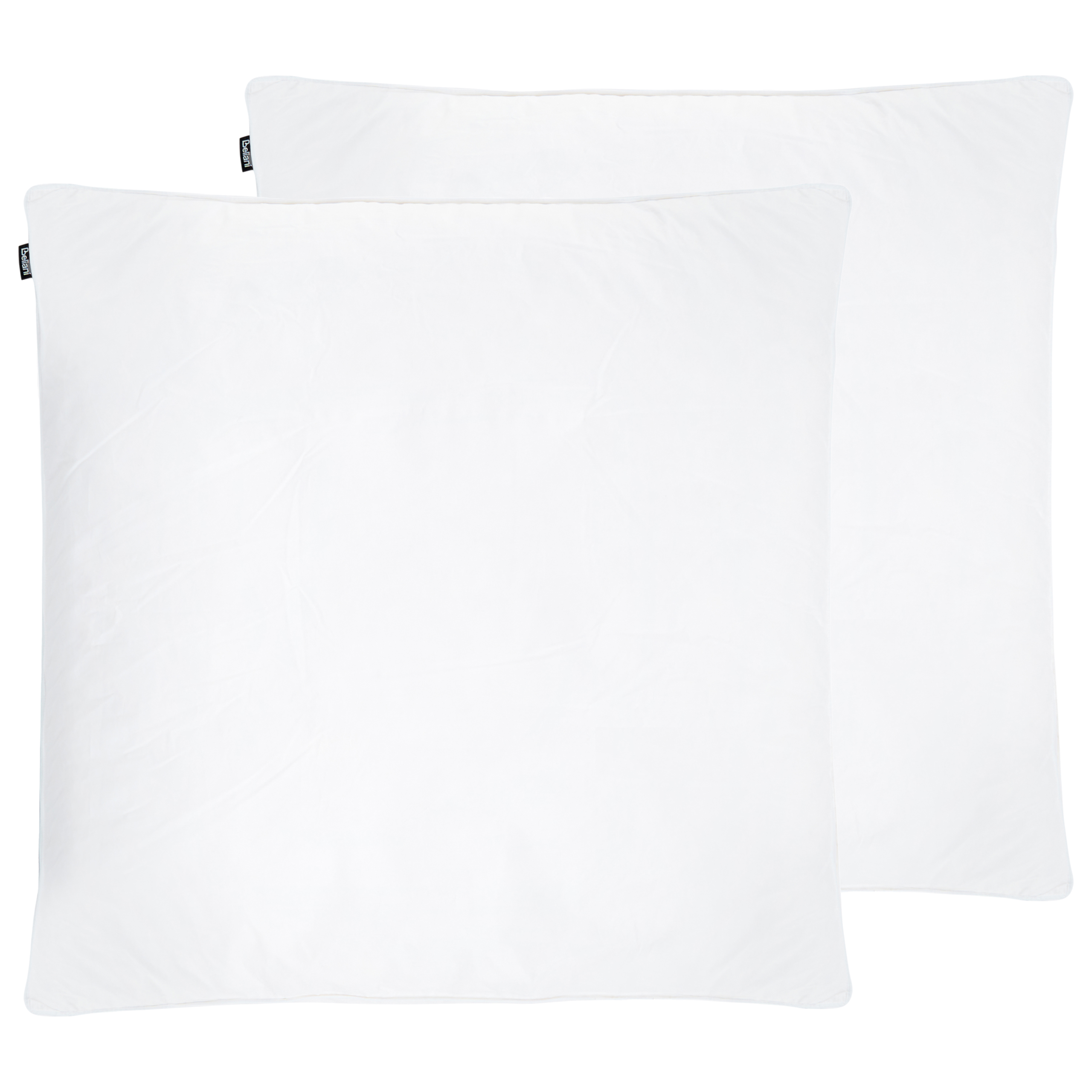 Set med 2 sovkuddar FELDBERG Hög 80 x 80 cm Ankfjädrar och dun Vit