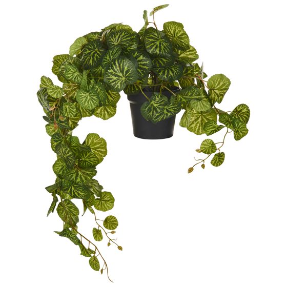 Konstgjord ampelväxt STRAWBERRY BEGONIA 37 cm Grön