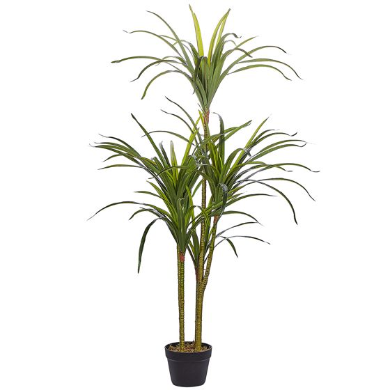 Konstgjord växt DRACAENA ANITA 147 cm Grön