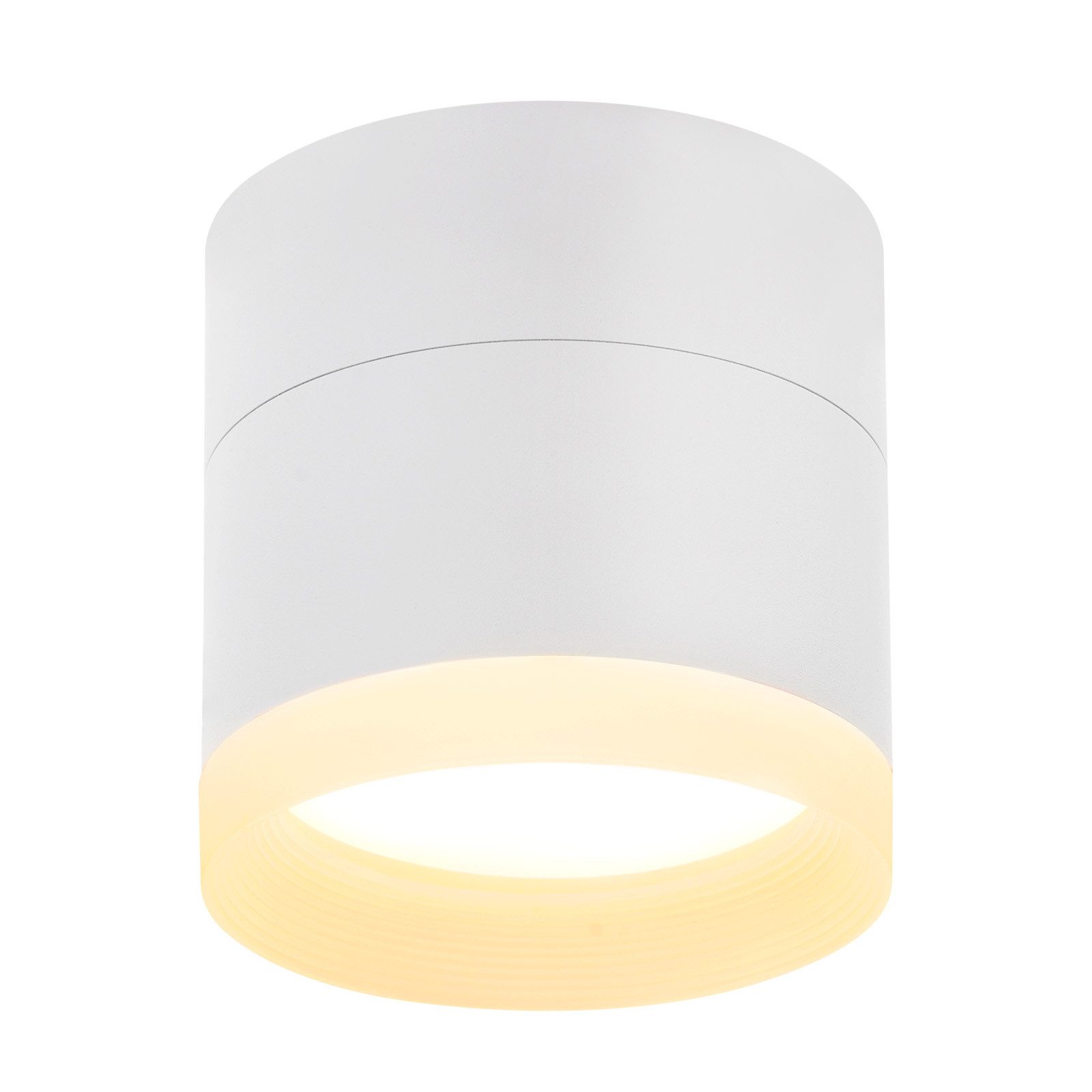NETTLIFE LED-utanpåliggande spotlight rund takspotlight vit 5 W liten utanpåliggande spotlight i akryl