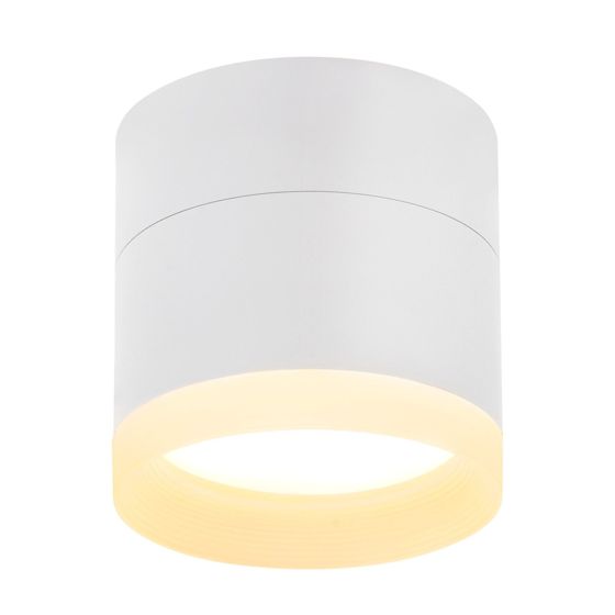 NETTLIFE LED-utanpåliggande spotlight rund takspotlight vit 5 W liten utanpåliggande spotlight i akryl
