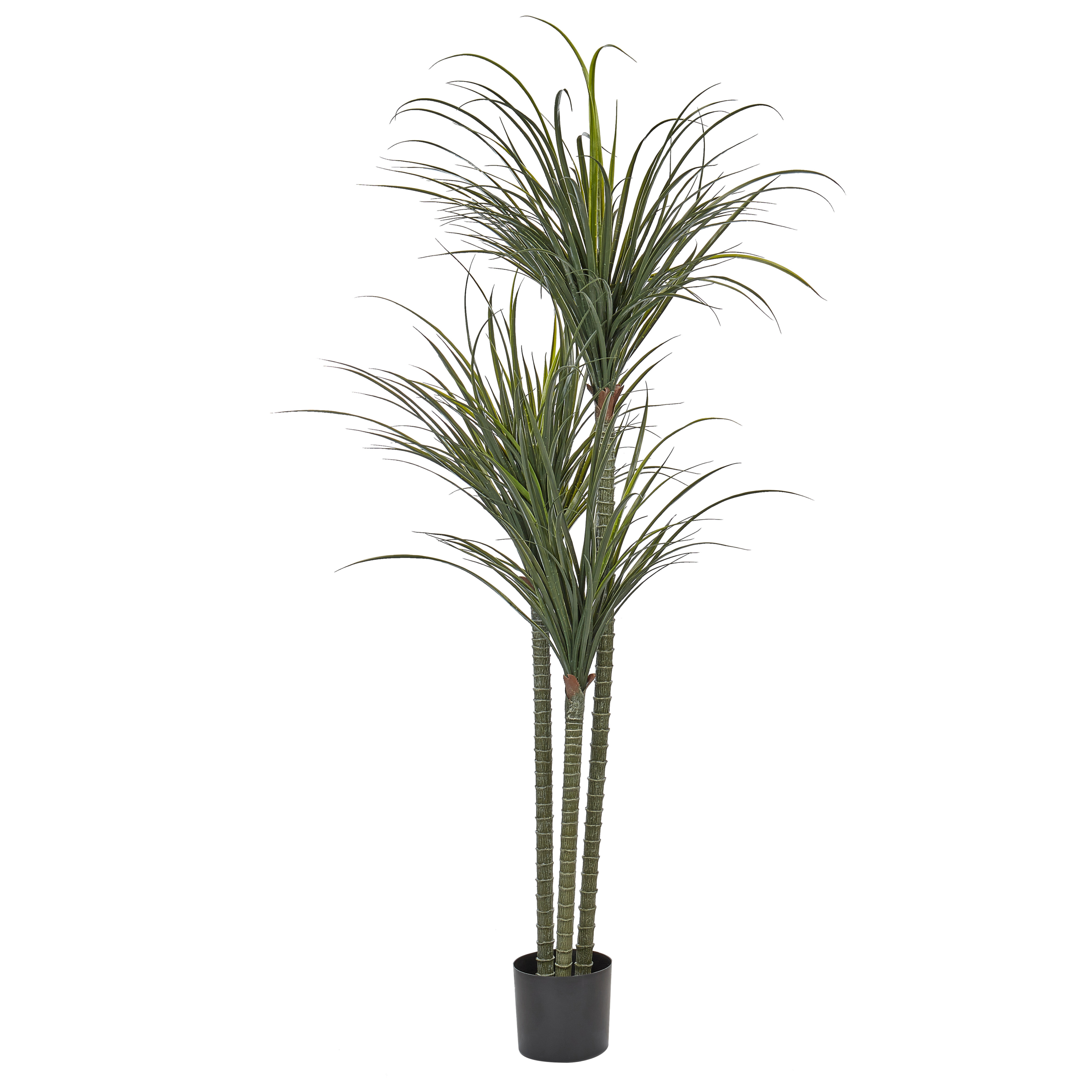 Konstgjord växt DRACAENA ANITA 198 cm Grön