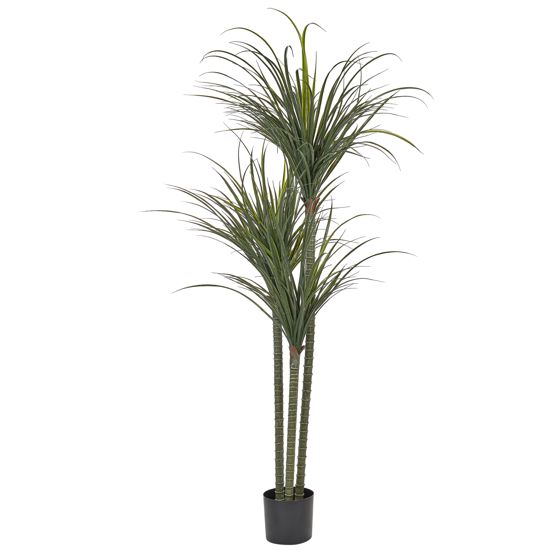 Konstgjord växt DRACAENA ANITA 198 cm Grön
