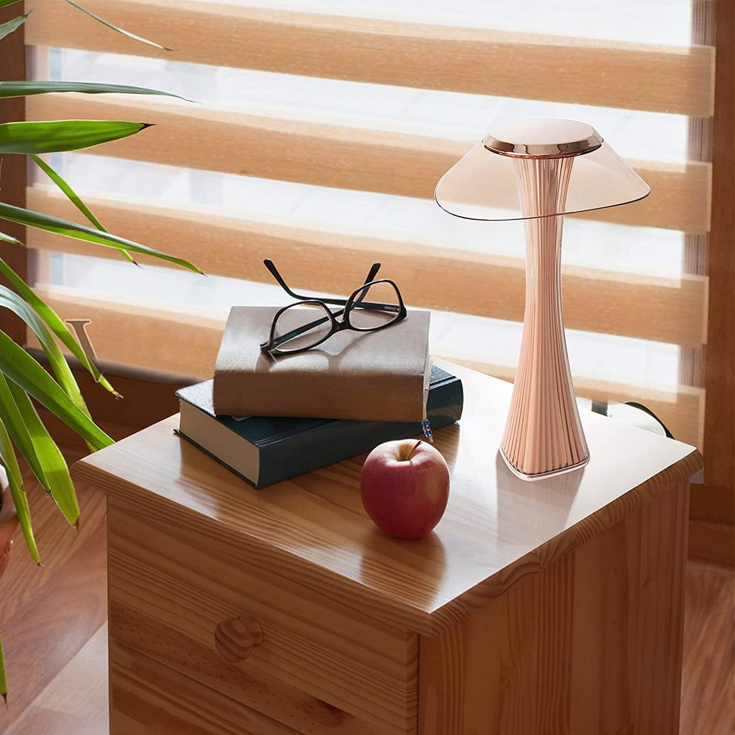 NETTLIFE LED-bordslampa Dimbar med touchfunktion, med batterilampa, för dagtid, nattlampa, med USB