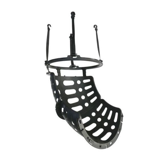 Boll återvänder till basketkorg