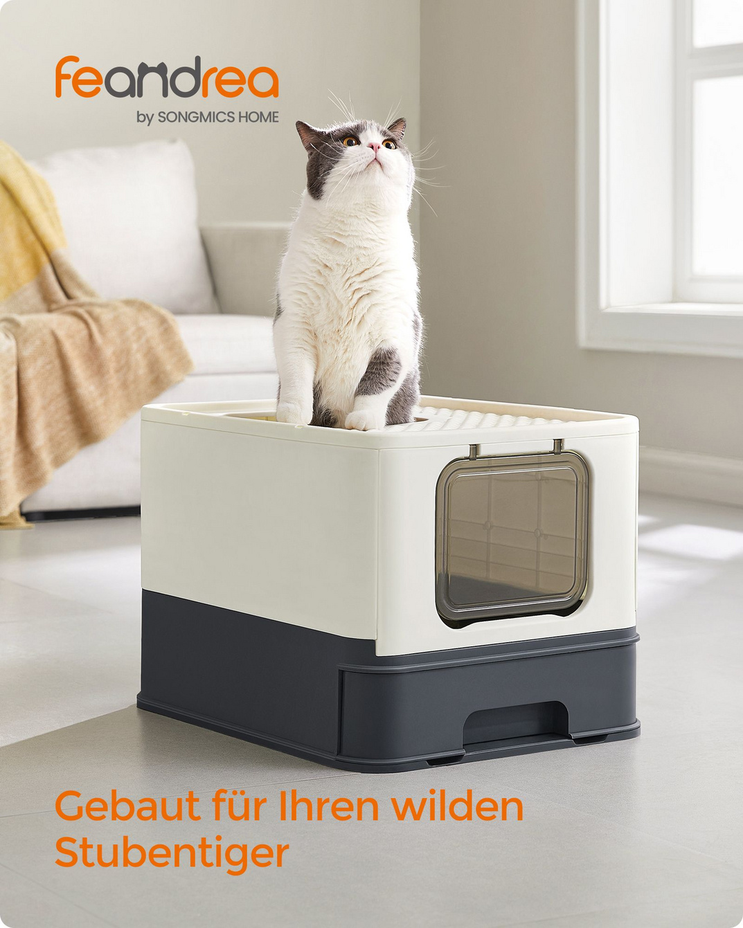 Feandrea täckt kattlåda, PPT001