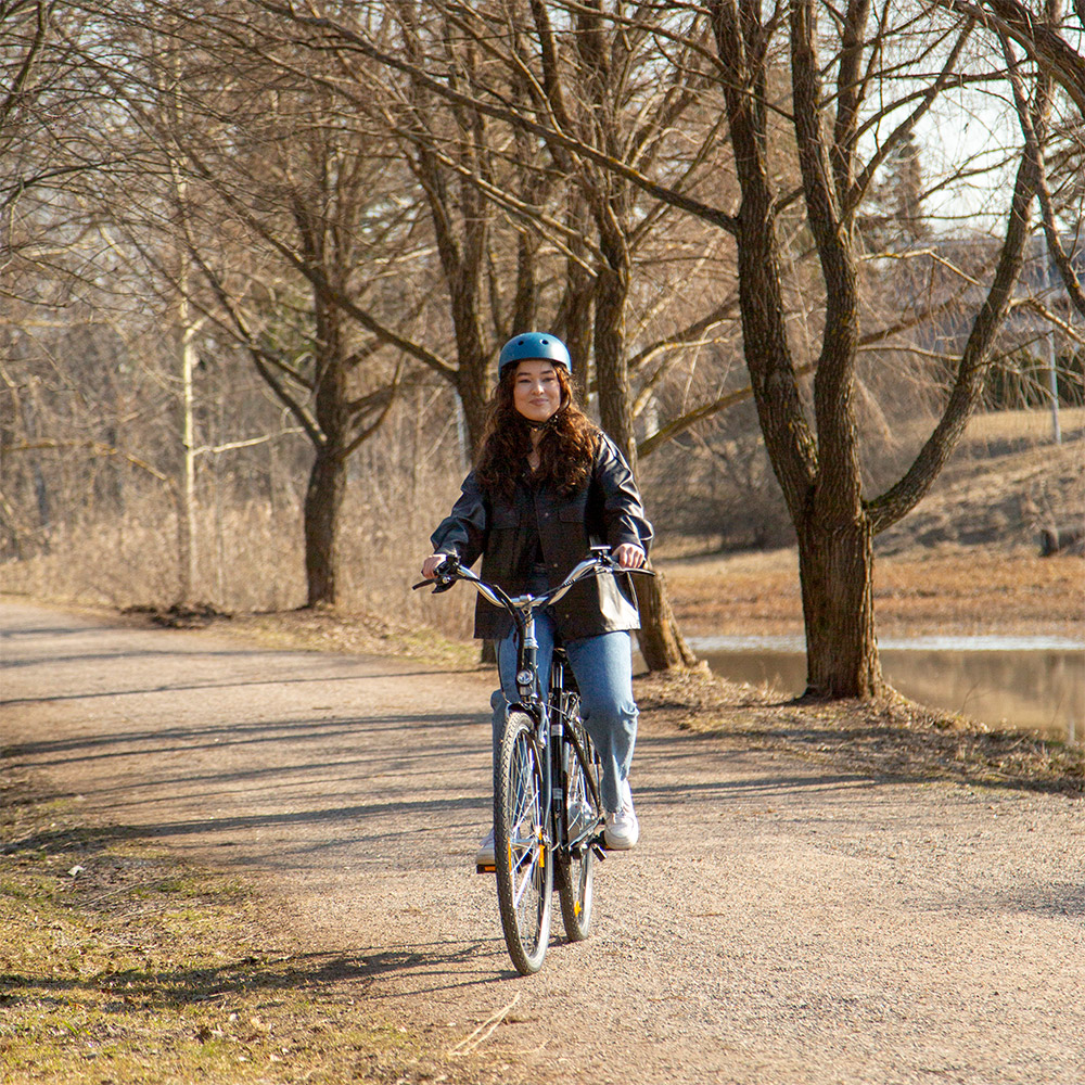 Swoop Elcykel Classic, dam 28" svart